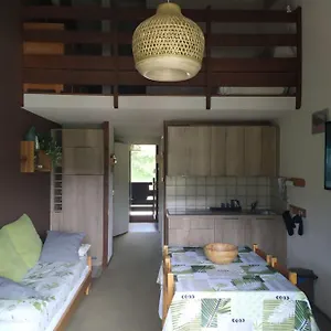  Appartement Duplex 3 Pièces. Pieds Des Pistes Et Balcon! France